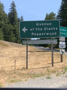 Avenue of the Giants Road Sign